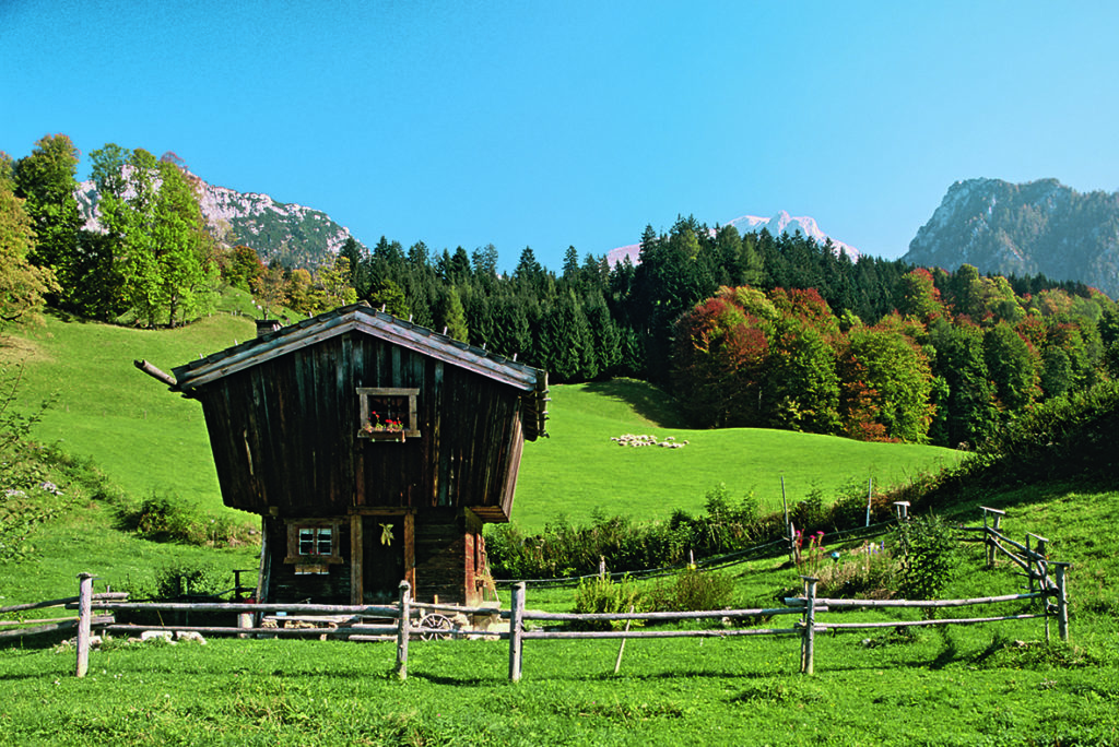 Schönau-Faselsberg, Berchtesgadener Alpen, Deutschland